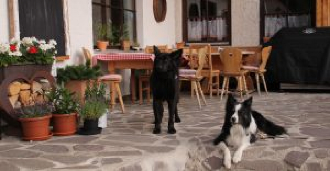 Trainings-Wochenende im Bayrischen Wald (Berggasthof) (Herbst)